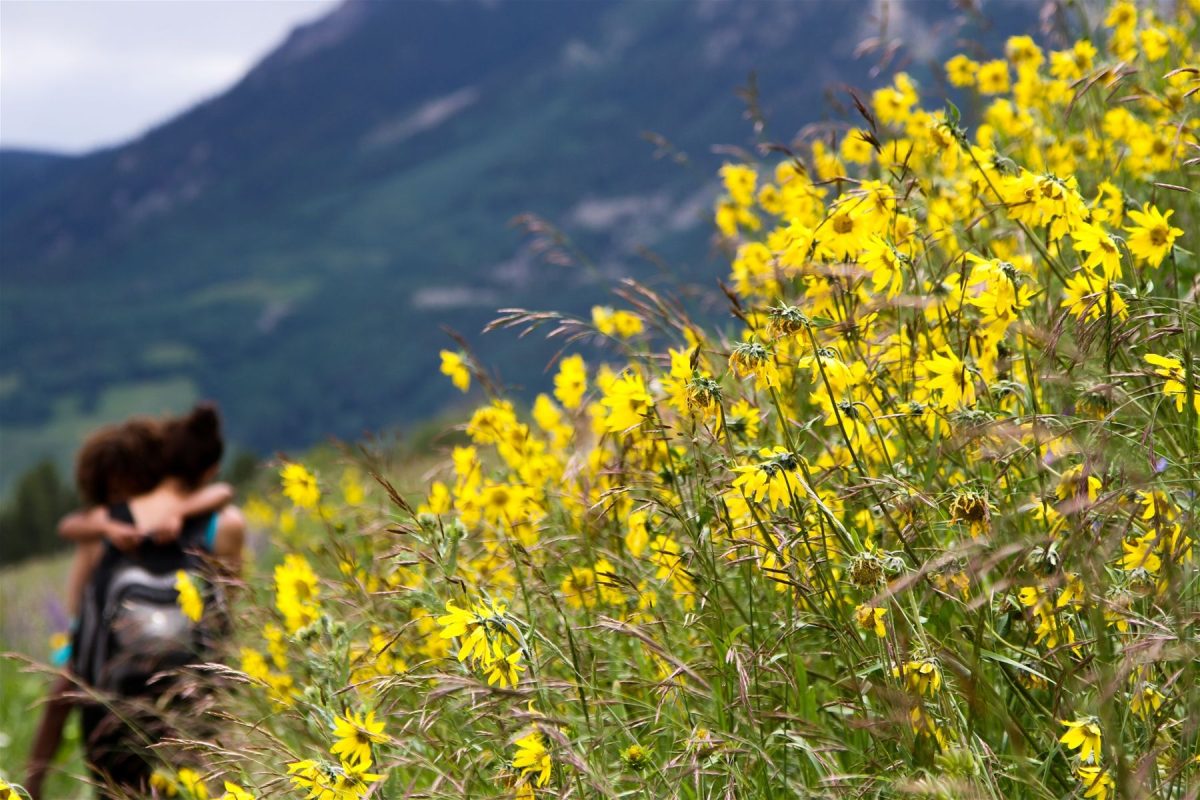 spring hike in crested butte